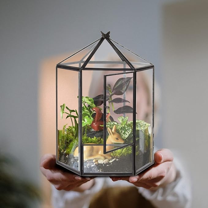 ELEGANTLIFE Glass Geometric Plant Terrarium,Succulent & Air Planter for Home Garden Office Decoration,No Plants(Black Hexagonal) - Image 6