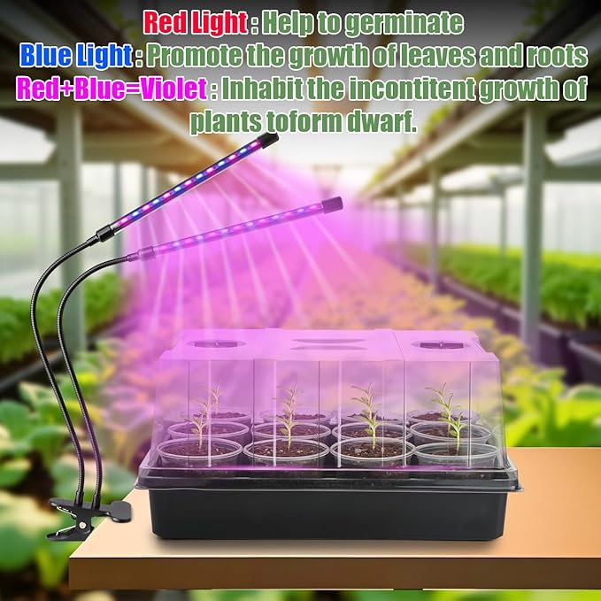 50p 3.5" Clear Nursery Pots with 4p Trays and 2p Adjustable LED Grow Lights – Transparent Plant Pots with Drainage Holes, Complete Seed Starter Kit with 5" Tall Humidity Dome for Plant Propagation - Image 5