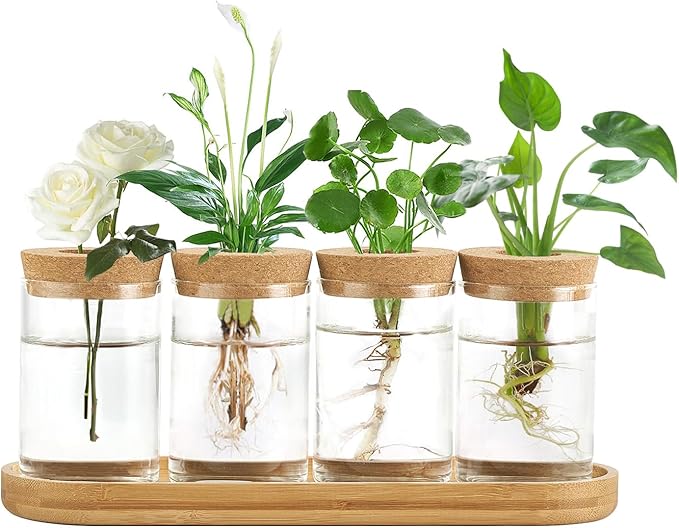Dahey Plant Propagation Terrarium Desktop Glass Planter Station Water Planting Glass Vase with Lid and Wooden Stand for Propagating Hydroponic Plants Centerpiece Office Home Garden Decor, 4 Pcs by Dahey