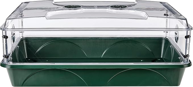 EarlyGrow 93774 Domed Propagator, 1 Height Extender, Green - Image 2