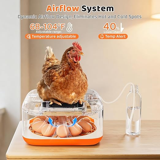 Incubators for Hatching Eggs 12 Egg Digital Egg Incubator Precision Auto Temp Humidity Control 6 Gear Adjustable Auto Turner Auto Stop Turning Hatching Days Display for Chicken Duck Goose Eggs - Image 6