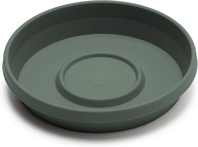 Bloem Terra Resin Saucer Tray: 4.75" Bottom Width - Basil Green - Matte, Durable, Ribbed Bottom, Indoor and Outdoor, Fits 6" Terra Pots - Image 3