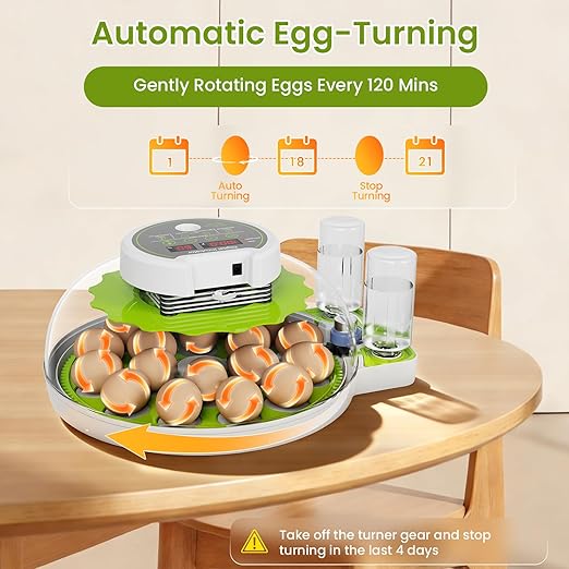 18-Egg Incubator incubators for Hatching Eggs with Automatic Egg Turning & Humidity Control, Transparent HD Panoramic Viewing & Candler Fertile for Farms, Science, classrooms, Homes Chickens Ducks - Image 5