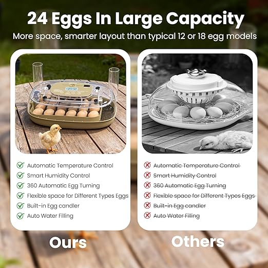 Incubators for Hatching Eggs,24 Eggs Capacity with Automatic Turning, Accurate Temp & Humidity Control, Egg Candler, Air Vent, and 360° Viewing for Chicken, Duck, Quail & Goose Eggs - Image 5