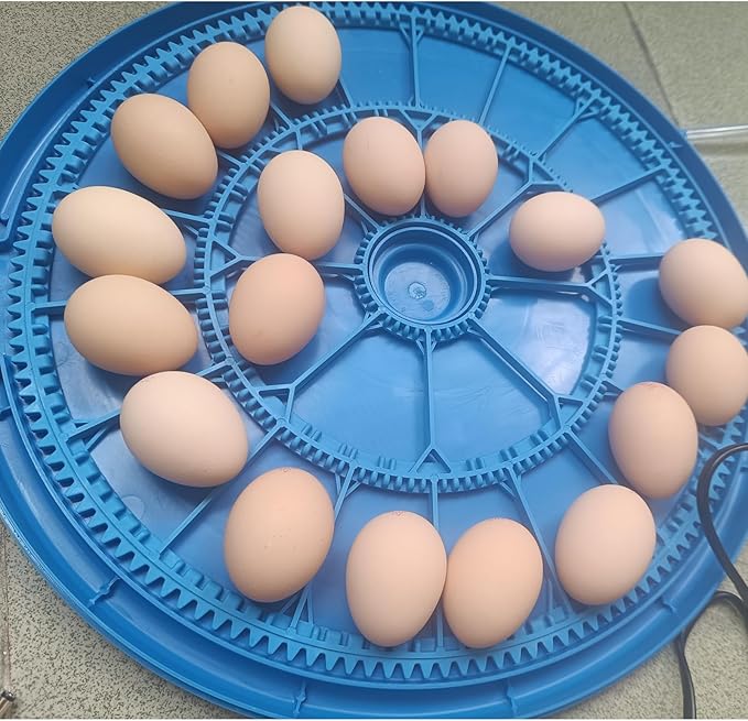 26-Egg Incubator with Automatic Egg Turning and Humidity Control | with 360° Viewing Window | Suitable for Hatching Eggs of Poultry &Reptiles Such as Chickens,Ducks,Geese,Quails,Parrots,etc - Image 8