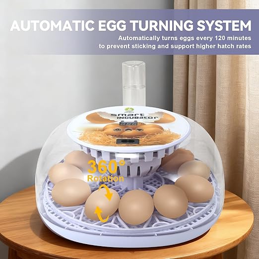 1st Gen - 12 Egg Automatic Incubator, Steady Humidity with Auto-Refill, Stable Temp Control, Auto Egg Turning, Candler, Real-Time Display for Hatching Chicken, Goose, Duck, Quail, Pigeon, and Turkey - Image 4