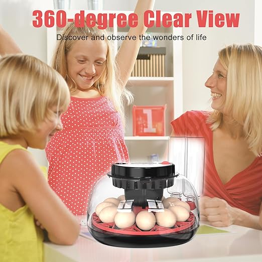 Incubators for Hatching Eggs, 12 Egg Incubator with Automatic Egg Turning and Humidity Control, 360° View Incubadora De Huevos De Gallina, Egg Candler, Incubator for Chicken Eggs, Ducks, Goose, Quail - Image 6