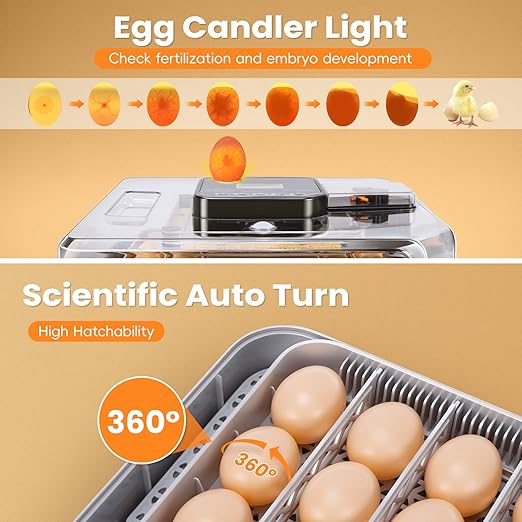 48 Incubators for Hatching Eggs, Egg Incubator with Automatic Egg Turning and Humidity Control, Temp Control, Egg Candler, Auto Water Refilling, Incubator for Chicken Eggs, Duck and Quail Eggs - Image 5