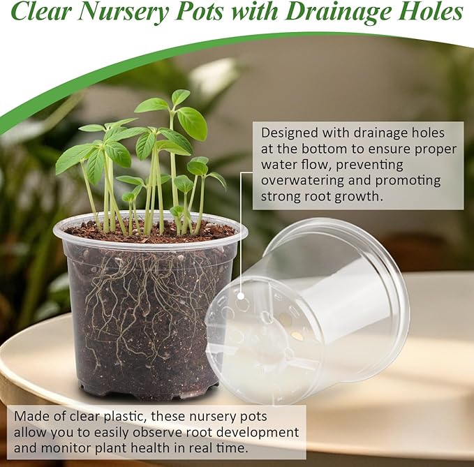 60 Pack Clear Nursery Pots with Humidity Domes, 4 Inch Plastic Plant Pots with Drainage Holes for Seedlings, Transparent Seed Starting Pot for Cuttings Propagation Indoor Gardening - Image 3
