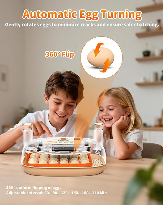 Egg Incubator for 24 Chicken Eggs with Automatic Turner, Digital Temperature Control & Humidity Display, Candler, Poultry Hatcher for Chicken, Duck, Quail, Birds (Orange) - Image 4