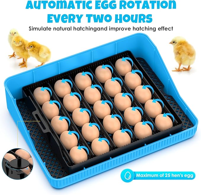 25 Egg Incubator Digital Poultry Hatcher Machine with Automatic Egg Turning, incubators for Hatching Eggs, Temperature & Humidity Control, LED Screen, General Purpose Incubator, Support 95-125 Volts - Image 5