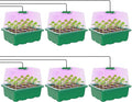 MIXC Seed Starter Kit with Grow Light, Elevated Seedling Tray Kit with Adjustable Humidity Dome and Clear Cell Tray, 12 Full Spectrum Led Beads for Seed Starting Greenhouse, 6 Pack, Green by MIXC