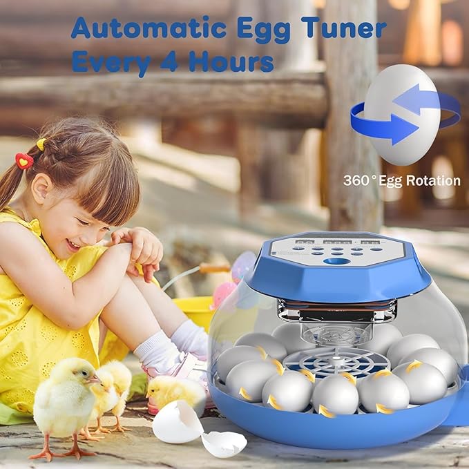 Incubator for Hatching Eggs12-24 Egg Capacity, Automatic Egg Turner, Temperature & Humidity Control, 360° Viewing for Chicken, Duck and Quail Eggs, Birds (E12 New) - Image 5