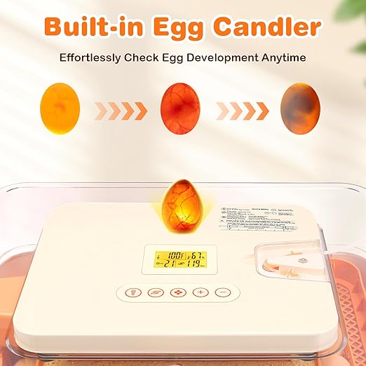 56 Egg Incubator for Hatching Eggs, Egg Incubators with Automatic Egg Turning, Temperature and Humidity Control, Egg Candler, Automatic Water Bottle Refill, Incubator for Chicken, Ducks, Goose - Image 5