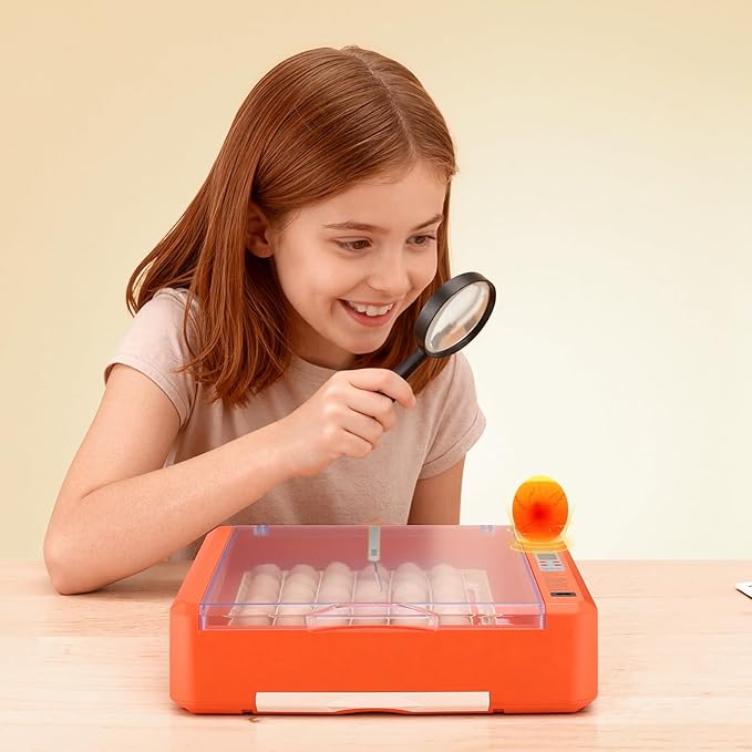 VEVOR 36 Egg Incubator, Automatic Egg Turner with LED Candler & Water Tray, Temperature & Humidity Control, 360° View Clear Window, Poultry Eggs Incubators for Hatching Chicks Ducks Goose Quails - Image 8