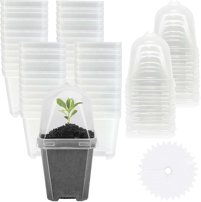 EBaokuup 50 Pcs Clear Plant Nursery Pots with Humidity Dome-3" Reusable Plastic Gardening Pot with Labels-Small Seed Starting Pots for Seedlings,Vegetables,Succulents,Cuttings by EBaokuup