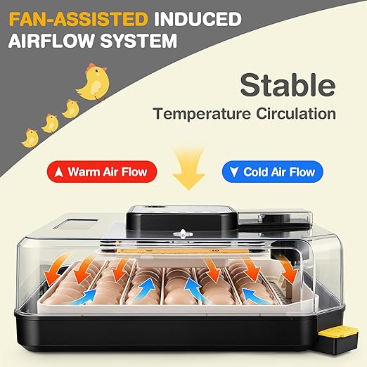 Sailnovo 48 Egg Incubator for Hatching Eggs with Precise Temp & Humidity Control,Auto Egg Turning, 360°Viewing, Egg Candler,Incubator for Chicken Eggs/Duck/Quail/Turkey,Ideal for Farm/School/Lab,Grey - Image 3