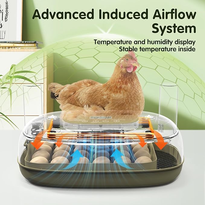 24 Egg Incubator with Automatic Turning, Temperature and Humidity Control, LED Egg Candler, and Auto Water Addition, for Hatching Chicken, Goose, Duck, Quail, Pigeon, and Turkey Eggs - Image 2