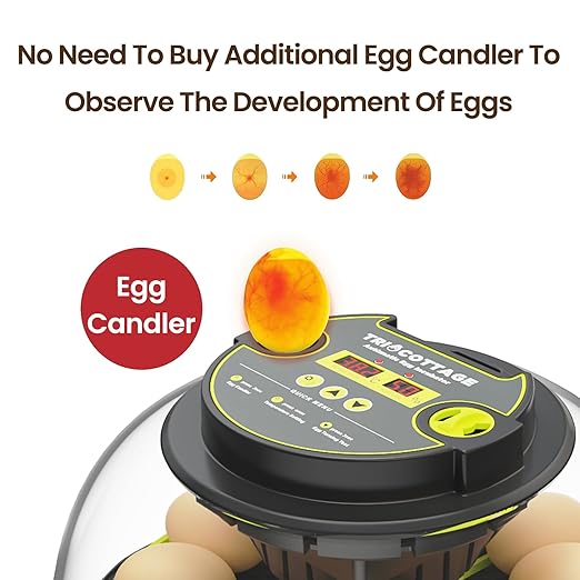 Incubators for Hatching Eggs 12 Egg Incubator with Automatic Egg Turning and Humidity Control,Egg Candler,Auto Water Replenishment,for Chicken Eggs and Quail Egg M12H - Image 5