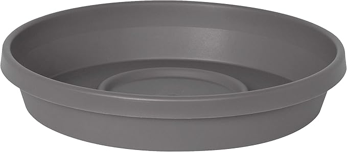 Bloem Terra Resin Saucer Tray: 8" Bottom Width - Charcoal Gray - Matte, Durable, Ribbed Bottom, Indoor and Outdoor, Fits 10" Terra Planters by Bloem