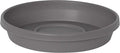 Bloem Terra Resin Saucer Tray: 8" Bottom Width - Charcoal Gray - Matte, Durable, Ribbed Bottom, Indoor and Outdoor, Fits 10" Terra Planters by Bloem