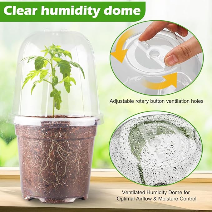 6 Inch Clear Nursery Pots with Humidity Dome, 15 Pack Durable Seed Starting Pot with Drainage Holes, Transparent Plastic Plant Seedling Pots for Indoor Gardening Plants - Image 2
