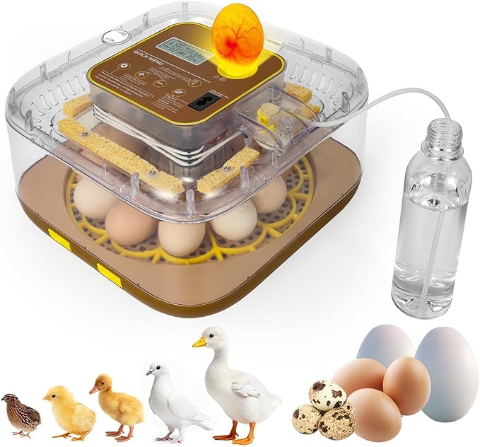 2026 New Auto 12-Egg Incubator for Beginners, Automated Incubation, Sensor-Based Precise Humidity & Temp Control, Custom-Interval Auto Turn & Auto Stop, Preset Incubation Days, Candler by ZEMIROCHARGE