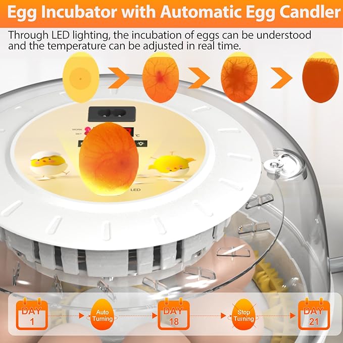Egg Incubators for Hatching Eggs with Automatic Egg Turner, 8 Incubator for Chicken Eggs with Egg Candler for Chicken, Duck, Quail, Smart Egg Hatcher for Beginners & Kids - Image 4