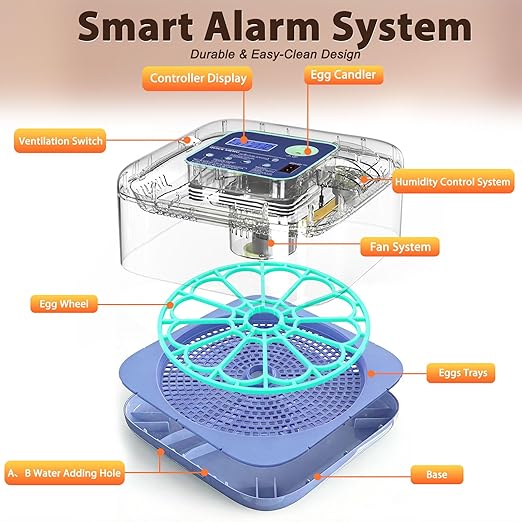 Incubators for Hatching Eggs, Smart Egg Incubator with Humidity & Temp Control and Auto Turner, 360° View Incubadora De Huevos De Gallina, Egg Candler, Incubator for Chicken Eggs, Ducks, Goose, Quail - Image 4