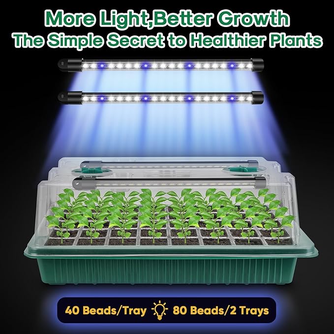 BlumWay Seed Starter Tray with Grow Light,2 Pack 80 Cells Seedling Tray Kit with Humidity Dome/Indoor Plant Starter Kit, Adjustable Brightness Plant Germination Trays - Image 8