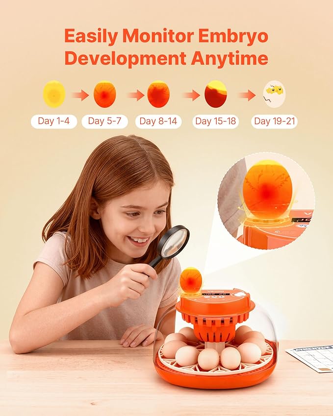 VEVOR 12 Egg Incubator, Automatic Egg Turner with LED Candler, Temperature & Humidity Control, 360° View Clear Window, Poultry Eggs Incubator for Home Farm, Hatching Chicks Ducks Goose Quail - Image 5