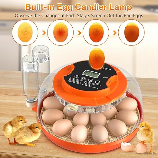 18 Egg Incubator with Automatic Egg Turning and Humidity Control, Eggs Incubators for Hatching Eggs Chicken Quail Ducks Goose Parrot for Home Classroom Lab Farm - Image 5
