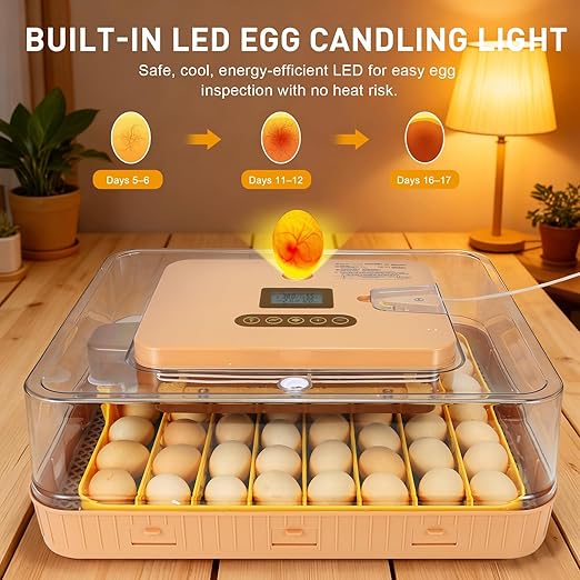 4th Gen – 56 Egg Fully Automatic Incubator, 2026 UpgradedDesign, Intelligent Sensor-Based Humidity & Temp Control, Custom Days, Adjustable Auto Turning & Stop, Chick Separator, Flexible Egg Spacing - Image 2