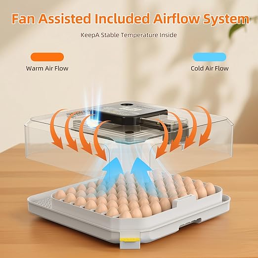 Incubators for Hatching Eggs, 48 Egg Incubator with Automatic Egg Turning and Humidity Control, Incubator for Chicken Eggs with Temperature Control, Egg Candler, External Water Bottle Refill - Image 6