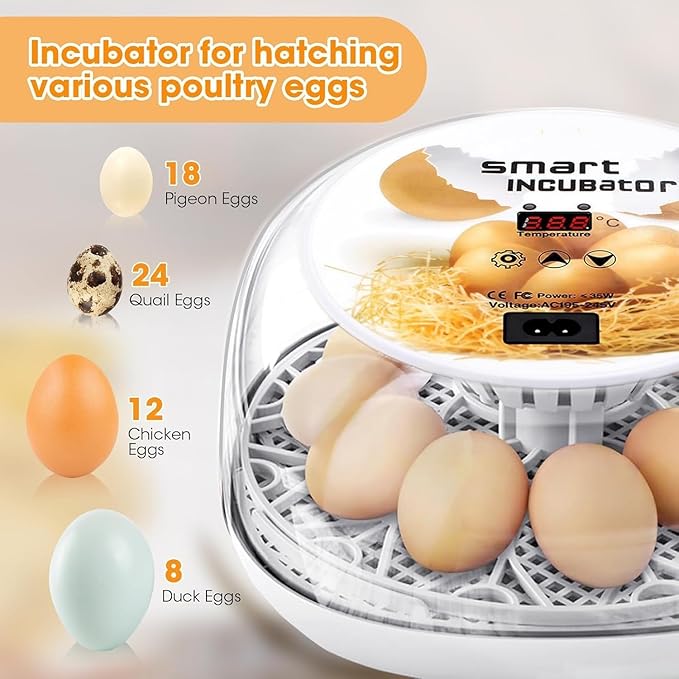 Incubators for Hatching Eggs, Chicken Waterer Cups, Automatic Egg Turner Holds 12 Eggs, Smart Incubator 360° Clear Window with Temperature Display Egg Candler for Small Poultry Chickens Ducks Quails - Image 3