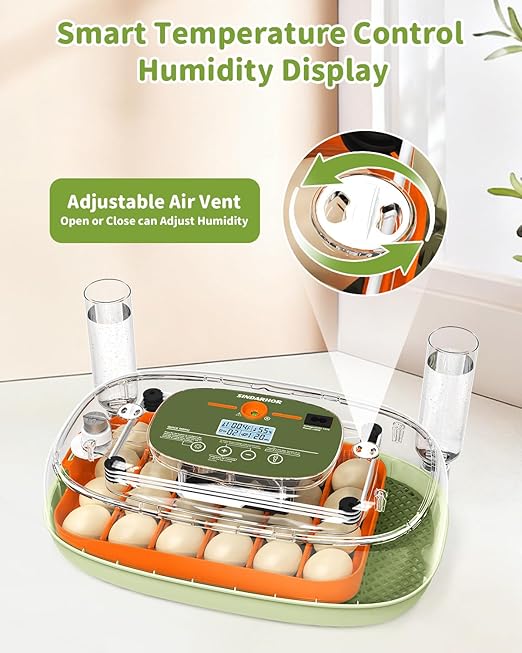 Egg Incubator for 24 Chicken Eggs with Automatic Turner, Digital Temperature Control & Humidity Display, Candler, Poultry Hatcher for Chicken, Duck, Quail, Birds (Green) - Image 2