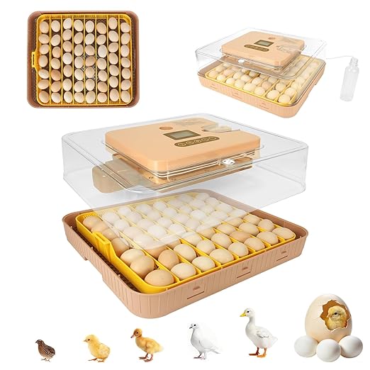 4th Gen – 56 Egg Fully Automatic Incubator, 2026 UpgradedDesign, Intelligent Sensor-Based Humidity & Temp Control, Custom Days, Adjustable Auto Turning & Stop, Chick Separator, Flexible Egg Spacing by Unknown