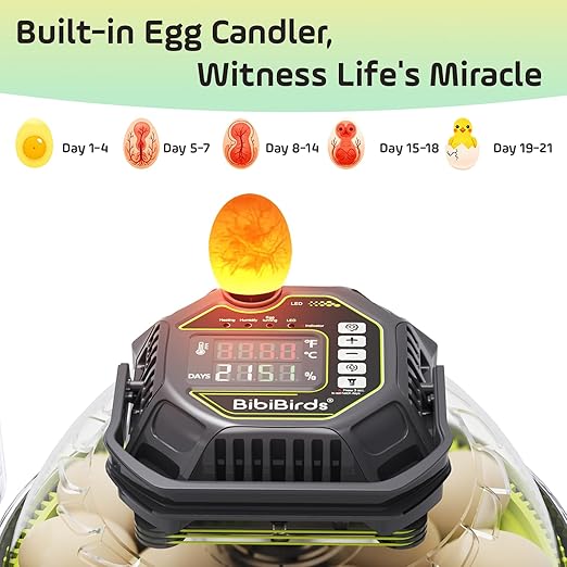 Egg Incubator with Automatic Egg Turning and Humidity Control,Built in Atomizer, Auto Egg Turner, Auto Stop Flip,18egg,Egg Candler, Hatching Small Quail Chicken Duck Goose at Home Backyard - Image 3