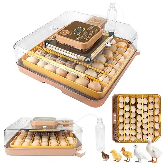 4th Gen - 48 Egg Fully Automatic Incubator, 2026 Upgraded Design, Intelligent Sensor-Based Humidity & Temp Control, Custom Days, Adjustable Auto Turning & Stop, Chick Separator, Flexible Egg Spacing by Unknown