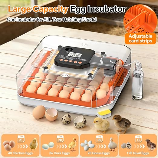 48 Egg Incubator for Hatching Eggs, Chicken Incubator with Auto Turner, Digital Temp & Humidity Control, Built-in Egg Candler & External Water Refill - for Hatching Chicks, Ducks, Quail, Goose Eggs - Image 6