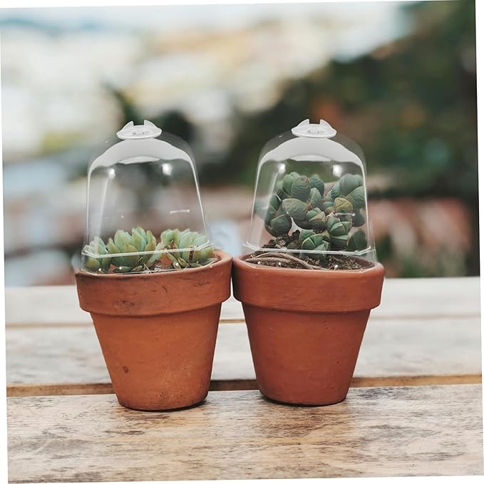 Mipcase 10pcs Plastic Cloche Dome for Plants Humidity Control Greenhouse Covers Reusable Bell Plant Covers for and Garden Accessories - Image 6
