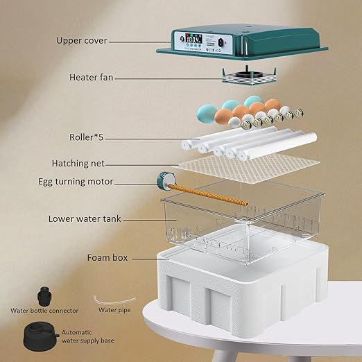 Incubators for Hatching 16 Eggs, Egg Incubator with Automatic Egg Turning and Humidity Fill, Temperature Control, Incubator with Adjustable Rollers for Chickens, Ducks, Geese, and Quails - Image 8