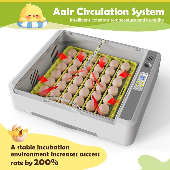 Egg Incubator for Hatching Chicks, 36 Eggs Automatic Turner with Temperature & Humidity Control, Multifunctional Ultra-Clear Panoramic View with Hatch Days & Egg Candler for Chicken, Duck, Goose, Bird - Image 2