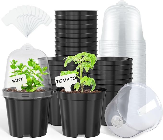 homenote Nursery Pots for Plants,4 Inch Plant Pot for Planting with Humidity Domes Plastic Seedling with Drainage Holes Seed Starter Flower with 10 Labels Black (30 Pack) by HOMENOTE