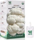 Large Organic Lion's Mane Mushroom Grow Kit with Spray & Accessories, Fresh Edible Mushroom Growing Kit Double-Sided Growable, USDA Certified, Non-GMO, Beginner Friendly, Indoor, Gardening Gift, USA by HiHOYA