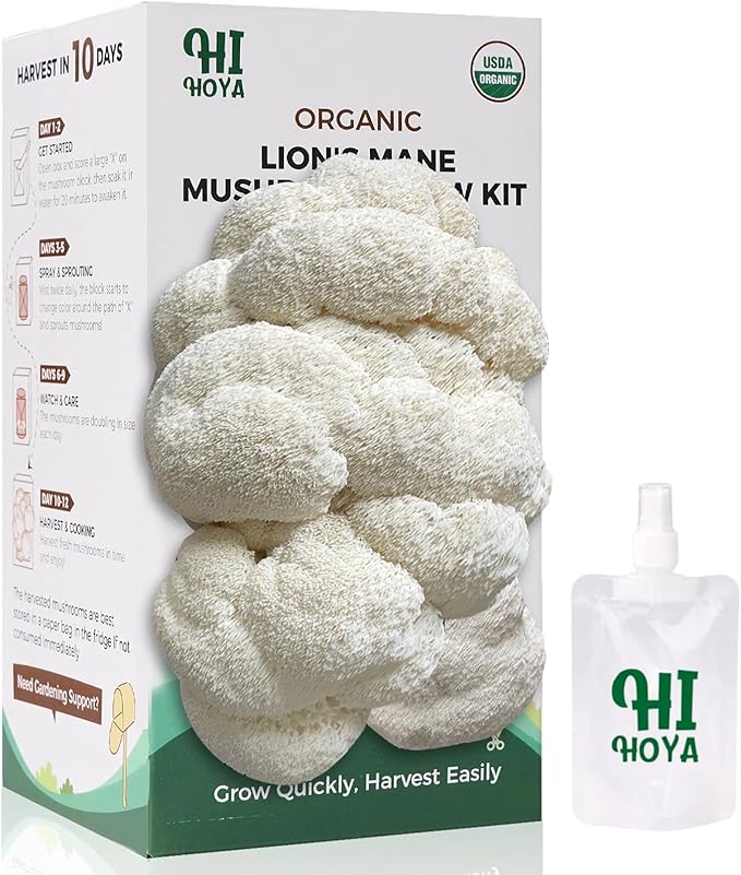 Large Organic Lion's Mane Mushroom Grow Kit with Spray & Accessories, Fresh Edible Mushroom Growing Kit Double-Sided Growable, USDA Certified, Non-GMO, Beginner Friendly, Indoor, Gardening Gift, USA by HiHOYA