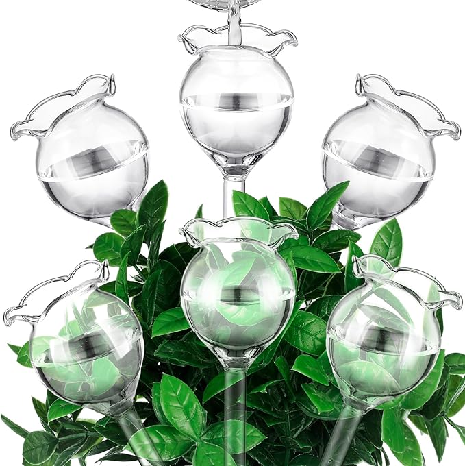 Yungyan 6 Pcs Self Watering Plant Globes Glass Cactus Insert Watering Devices Automatic Plant Watering Bulbs Water Globes for Indoor Outdoor Plants(Clear Tulip,5.31 Inch) by Yungyan