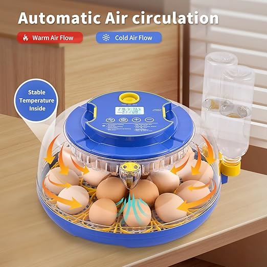 18 Egg Incubator with Auto Turn & Humidity Control, 360° View Poultry Hatcher for Chicken/Duck/Turkey/Quail Eggs - Incubator for Hatching Eggs - Image 6