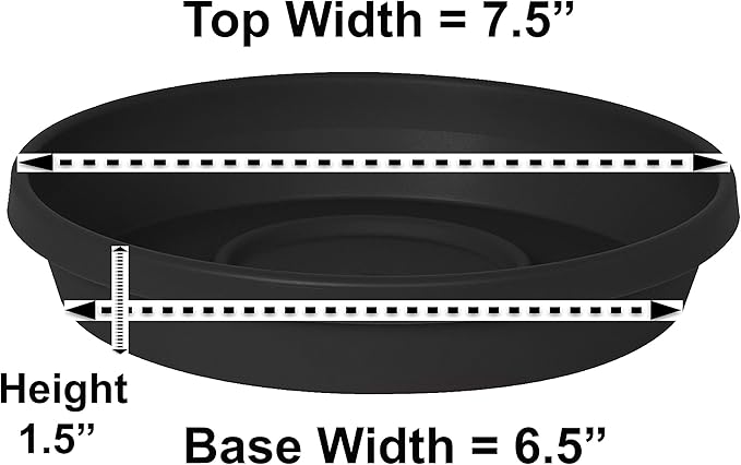 Bloem Terra Resin Saucer Tray: 6.5" Bottom Width - Black - Matte, Durable, Ribbed Bottom, Indoor and Outdoor, Fits 8" Terra Pots - Image 4