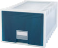 Storex 24-Inch Archive Storage Box for Letter Size Hanging Files, Frosted/Aqua (61103U01C) by Storex